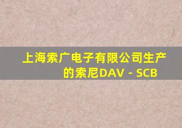 上海索广电子有限公司生产的索尼DAV - SCB